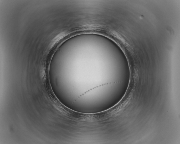 X0000111481259200907141210
