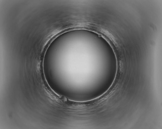 X0000111481260200907141210