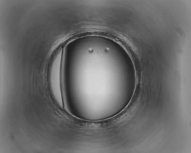 X0000111481261200907141210