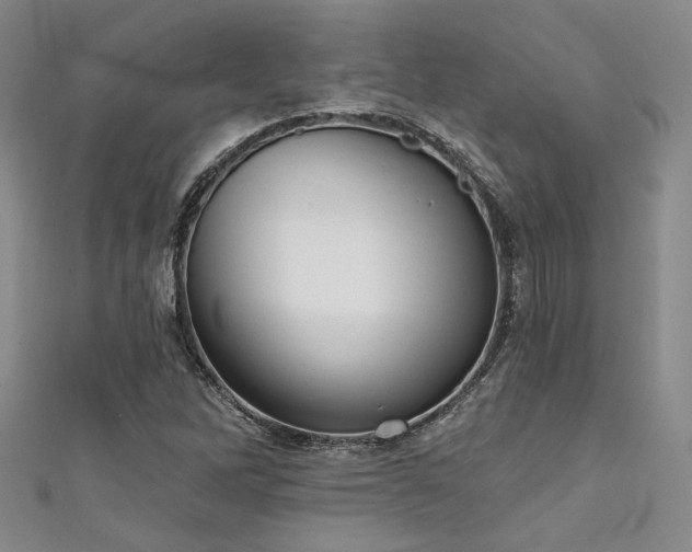 X0000111481262200907141210