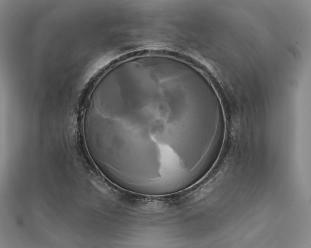 X0000111481263200907141210