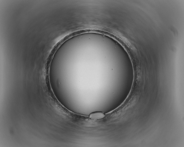X0000111481264200907141210