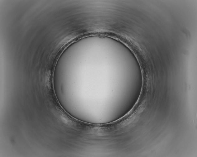 X0000111481265200907141210