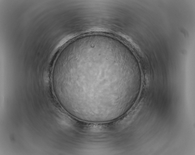 X0000111481266200907141210