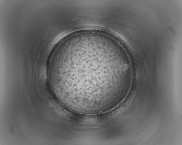 X0000111481267200907141210