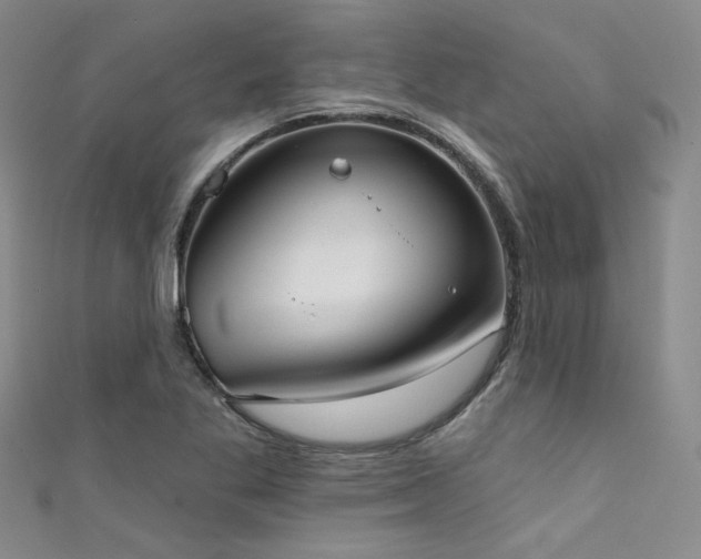 X0000111481269200907141210