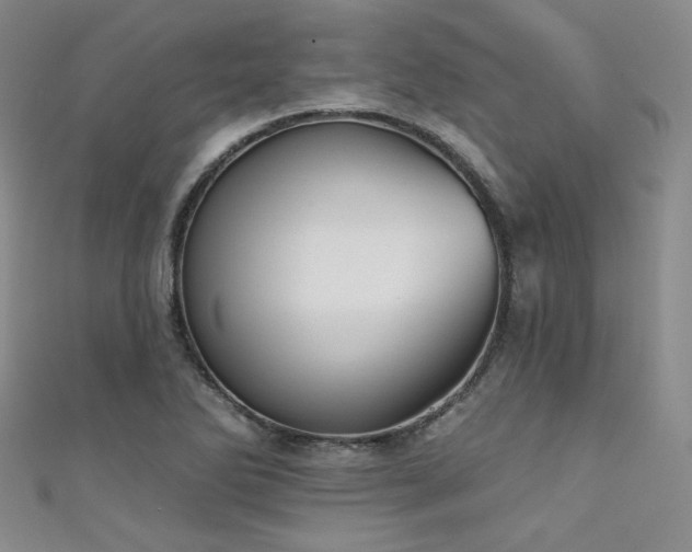 X0000111481270200907141210