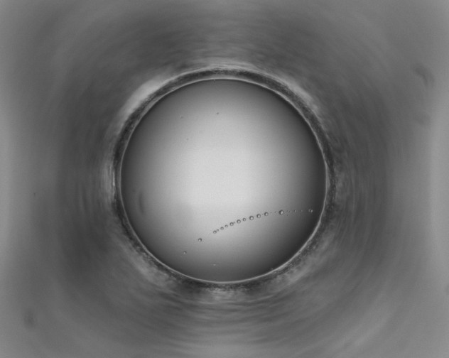 X0000111481271200907141210