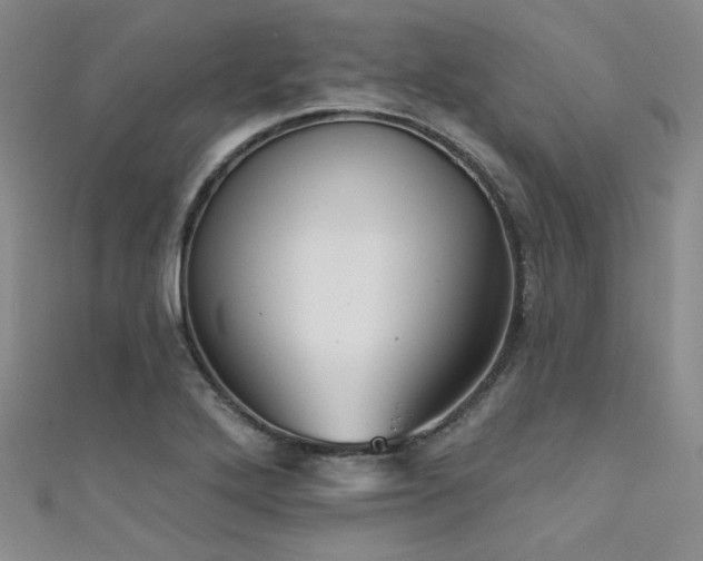 X0000111481272200907141210