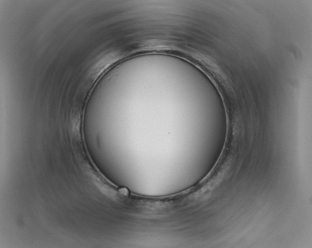 X0000111481273200907141210