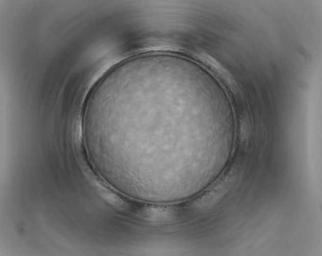 X0000111481274200907141210