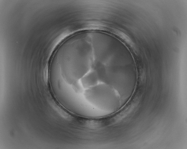 X0000111481275200907141210