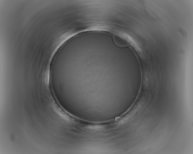 X0000111481276200907141210