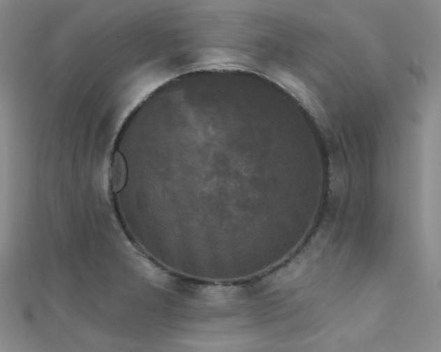 X0000111481277200907141210