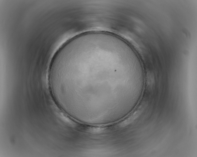 X0000111481278200907141210