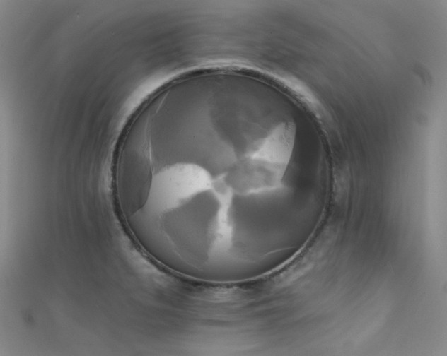 X0000111481279200907141210