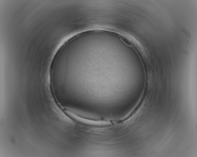 X0000111481280200907141210
