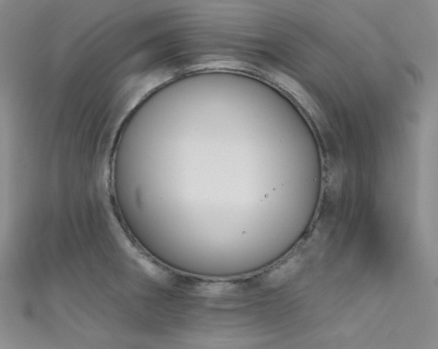 X0000111481282200907141210