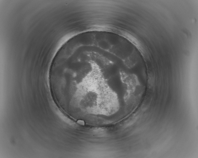 X0000111481283200907141210