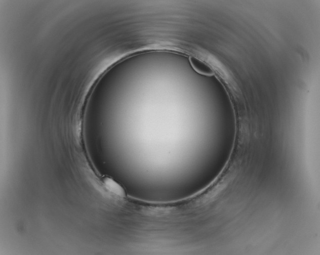X0000111481284200907141210