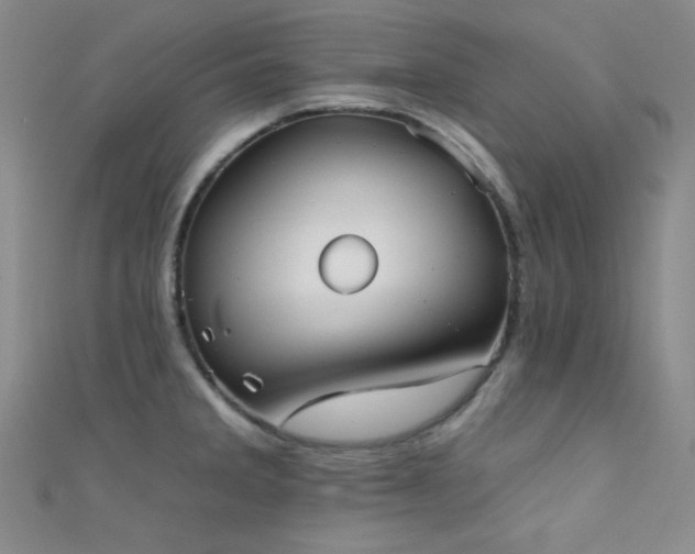 X0000111481285200907141210