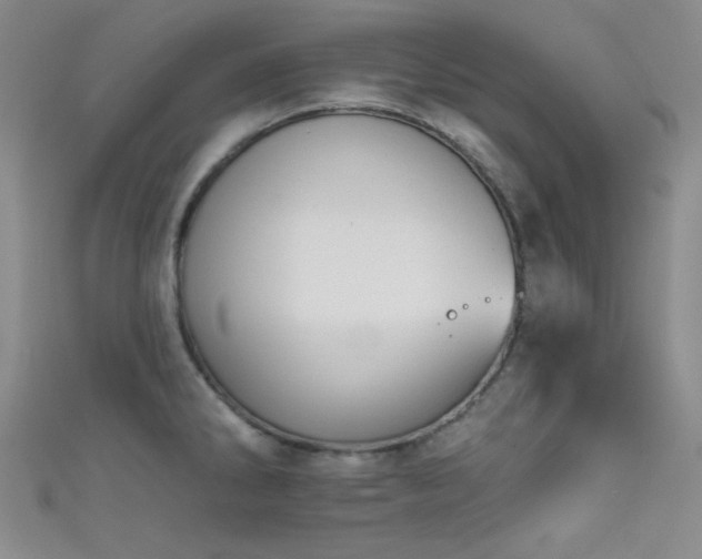 X0000111481286200907141210