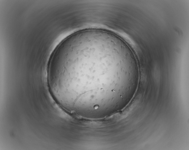 X0000111481287200907141209