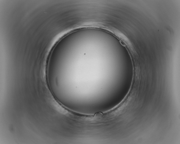 X0000111481288200907141209