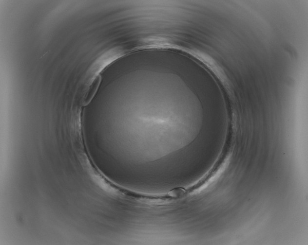 X0000111481289200907141209