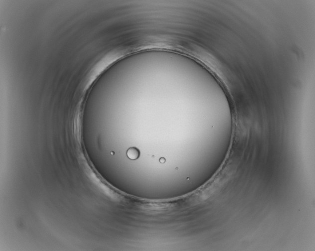 X0000111481290200907141209