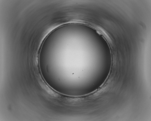 X0000111481292200907141209