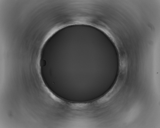 X0000111481294200907141209