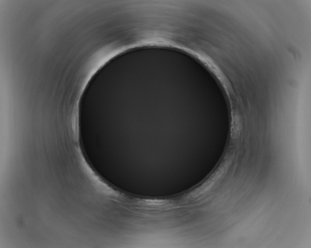 X0000111481295200907141209