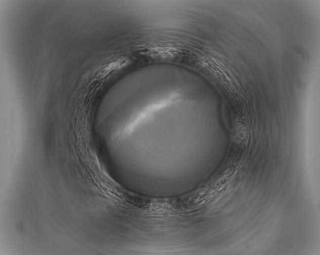 X0000111481297200907141209