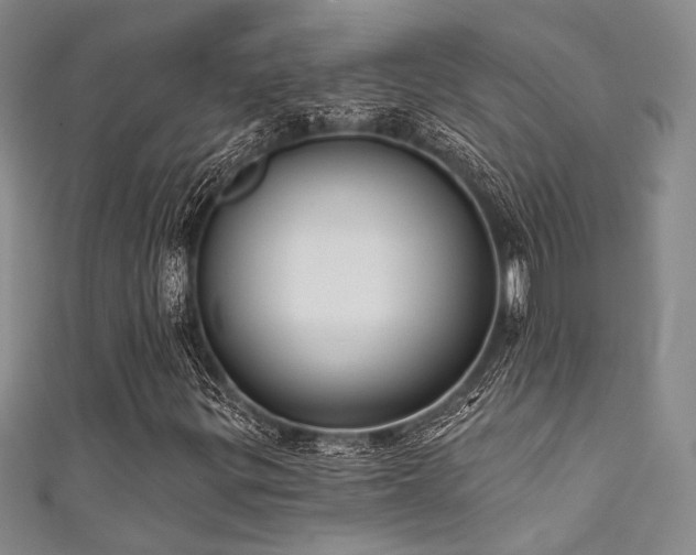 X0000111481299200907141209