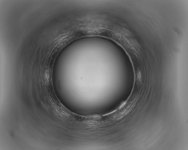 X0000111481300200907141209