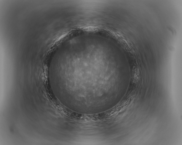 X0000111481301200907141209