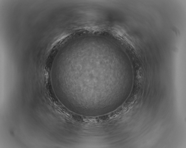 X0000111481302200907141209