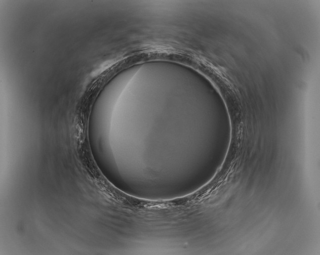X0000111481303200907141209