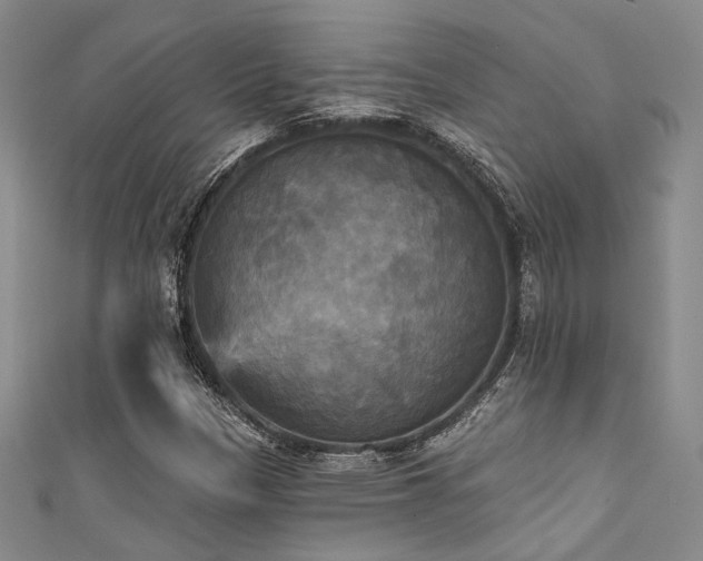 X0000111481305200907141209