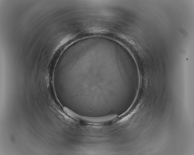 X0000111481306200907141209