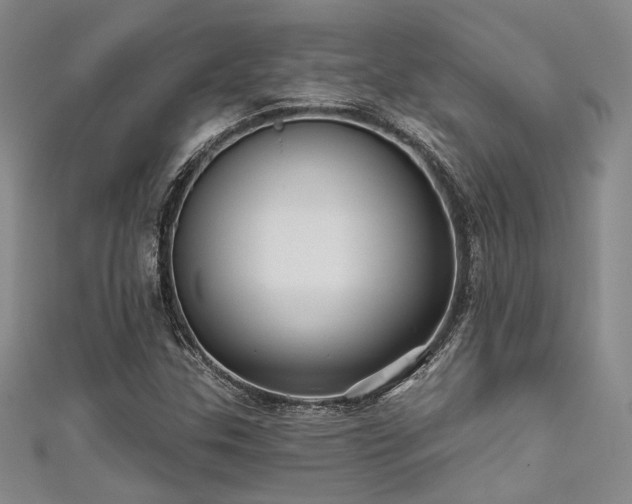 X0000111481307200907141209