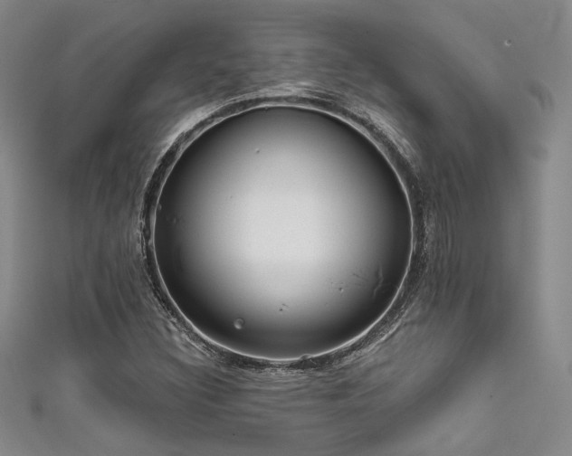 X0000111481308200907141209