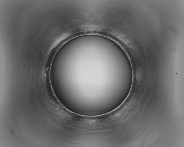 X0000111481309200907141209