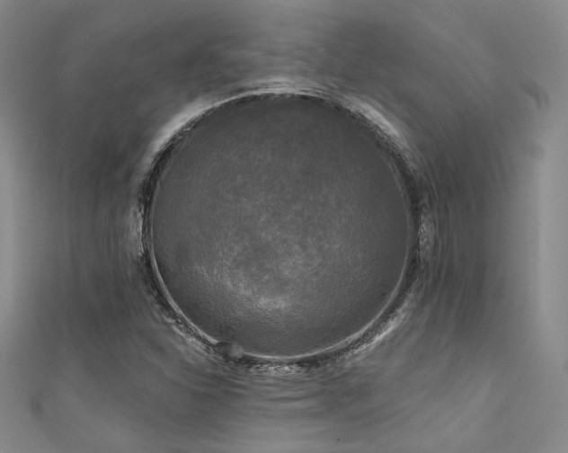 X0000111481310200907141209