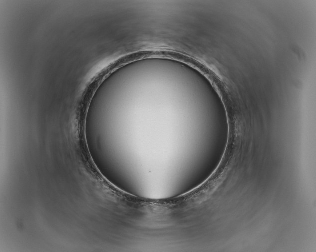 X0000111481311200907141209