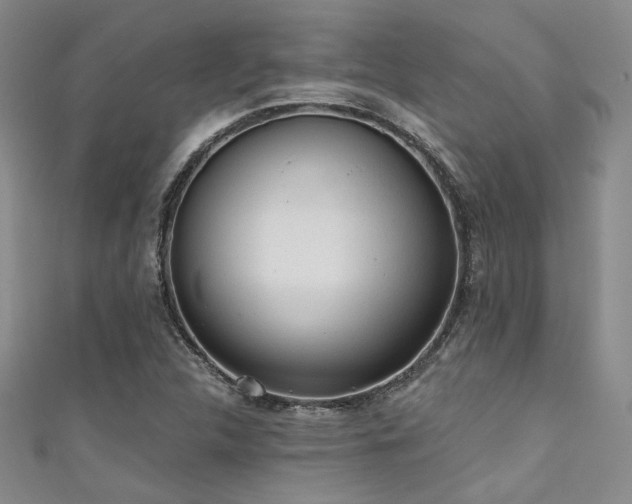 X0000111481312200907141209