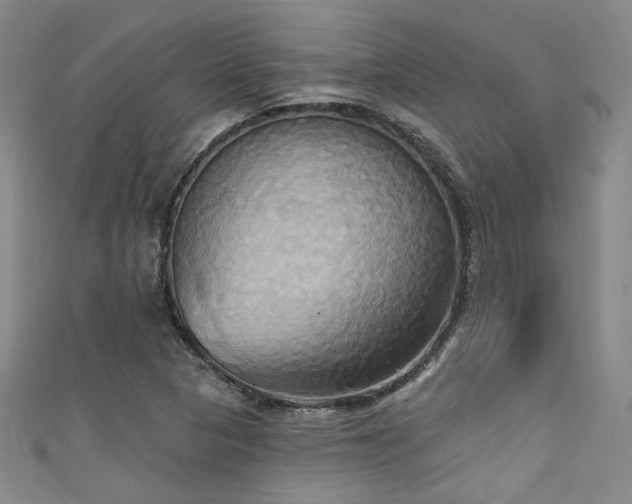 X0000111481313200907141209