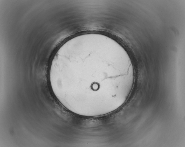 X0000111481314200907141209
