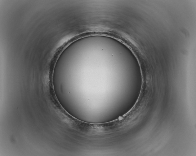 X0000111481315200907141209